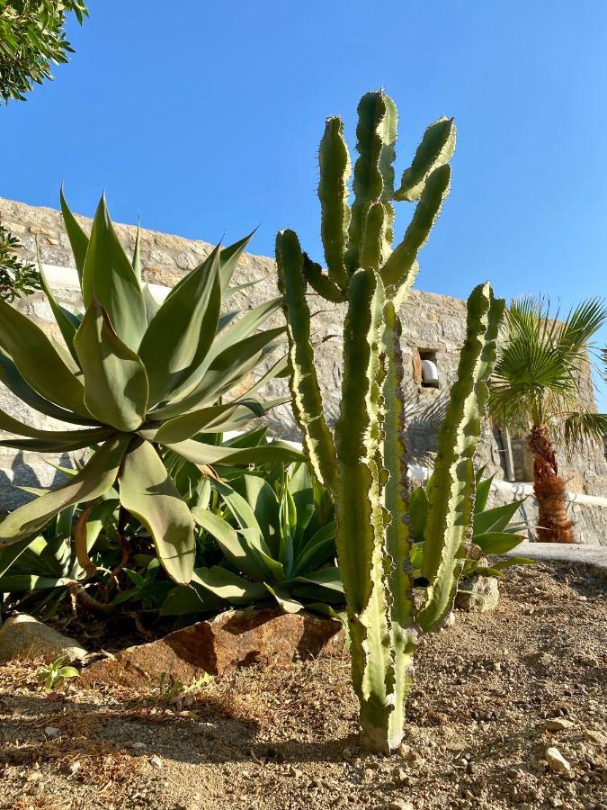 Apartament Sensus Mykonos Kalafati Zewnętrze zdjęcie